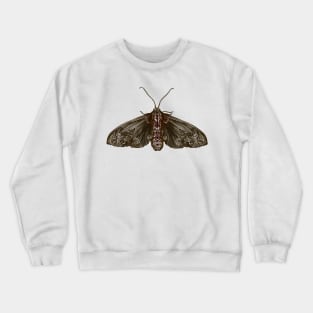 Goth Moth Crewneck Sweatshirt